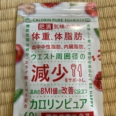 カロリンピュア 30日分 肥満気味の方の体重 体脂肪の減少を助け...