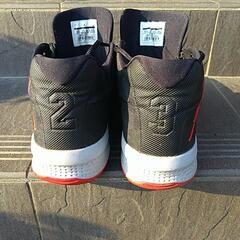 🟢 Michael  Jordan　B - FLY  シューズの画像