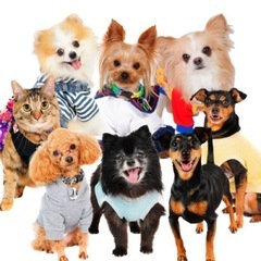 犬友 ママ友 募集🐶🐶