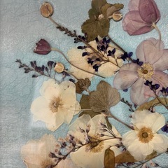押し花アートの画像