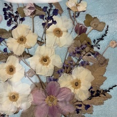 押し花アートの画像