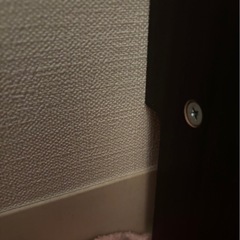 木製開閉扉付き棚(可動棚有り)の画像