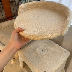 取引中　キャットタワーの画像