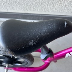 引っ越しのため7月末までのお取引に！ストライダーの画像