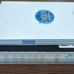 📚️PS2攻略本📚️STAR OCEAN Till the End of Time OFFCIAL GUIDE BOOK スターオーシャン3　2冊セットの画像