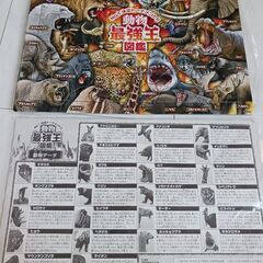 動物最強王図鑑パズル　75ピース　5歳から