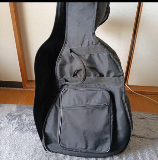 Cooder TCP480 A5G エレキアコースティックギター (わんちゃん