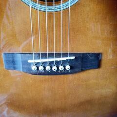 Cooder TCP480 A5G エレキアコースティックギター