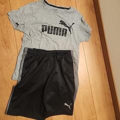 160PUMAセット