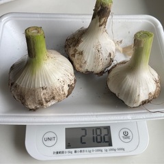 無農薬栽培　生ニンニク　200g
