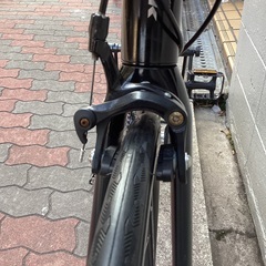 🚴trek DOMANE(ドマーネ)AL3の画像