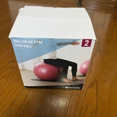 バランスボール