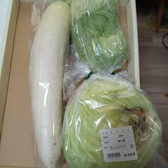 今日購入品のおすそ分け