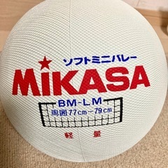 ソフトミニバレー③