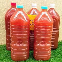 【在庫残5本】超濃厚PSB 光合成細菌 活バクテリア2L〜　熱帯...