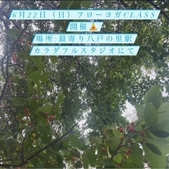 🌻2025年6月22日フローヨガclass開催🧘‍♂️🍀