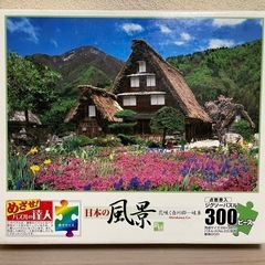 ジグソーパズル 300ピース 完成品 額縁付きの画像