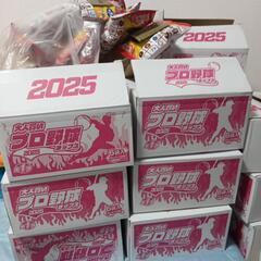 大人買いプロ野球チップス カードなし