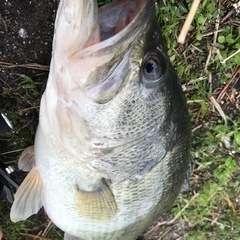 釣り友達募集！ - 友達
