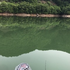 釣り友達募集！ - 草津市