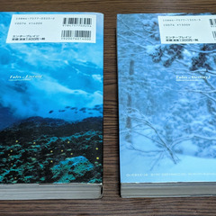 📚️PS攻略本  📚️テイルズ　オブ　①デスティニー2　②エターニア　オフシャルガイドブック2冊セットの画像