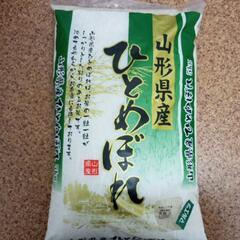 お米 5kg 山形県産