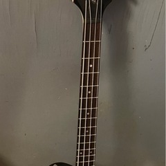 pignose ベース中古