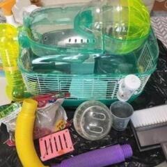 ハムスター　小動物　飼育セット