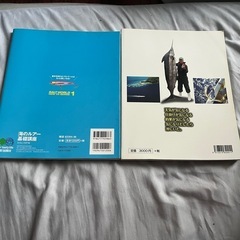 沖釣り　ルアー釣り　本2冊の画像