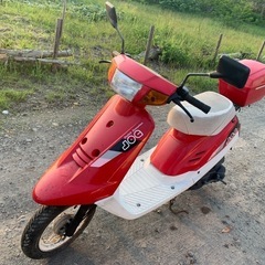 ペリカンジョグ　ジャンク