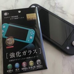 ★最終値下げ 早いもの勝ち!!★任天堂　NINTENDO SWITCH LITE　スイッチライト　グレイ＋☆Micro SD512GB☆＋専用ケース＋液晶保護ガラス1枚の画像
