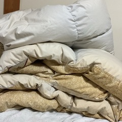 ☺️ 羽毛布団　S 147✖️213cm  ベージュ花柄の画像