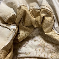 ☺️ 羽毛布団　S 147✖️213cm  ベージュ花柄の画像