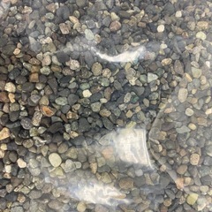 アクアリウム　大磯砂　10kg　底砂　砂利