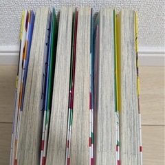 恋と嘘　5巻＋ファンブックの画像