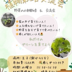 野菜を一緒に栽培しませんか？🥬
