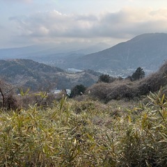 農業ボランティア