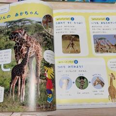 こどもちゃれんじ本13冊セット しまじろう 知育絵本 子供用の画像