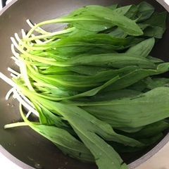 アイヌネギの画像