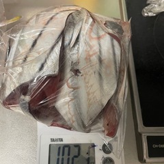 釣り餌　