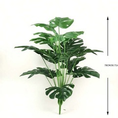 【引渡し者
決定】観葉植物の画像