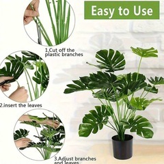 【引渡し者
決定】観葉植物の画像