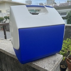 クーラボックスの画像