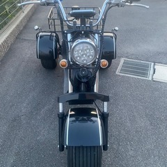 ブレイズ　EV  トライク

