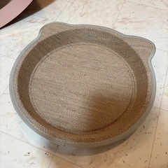 猫の画像