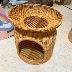 猫の画像