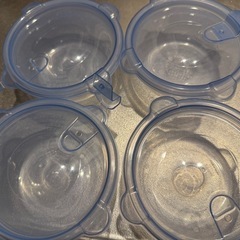 ニトリ　冷凍ご飯保存容器の画像