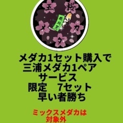 【五桜メダカ】 6月2日　特典アリ！横須賀めだか無人販売