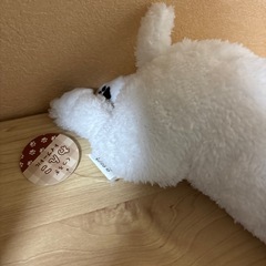 トイプードル　ぬいぐるみの画像