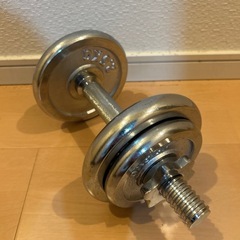 ④ダンベル10kg 1個